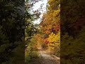 금북정맥 천안 '성거산' 해발579m Forest road(임도) 들머리~천안시 서북구 성거읍 산51-6