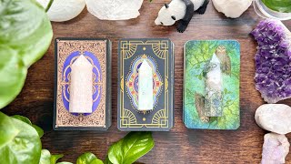 What unexpected CHANGE is coming in this connection? 🤯❄️🌏🔮🦢🎈Pick a Card Reading 🎈🦢🔮🌏❄️🤯