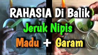 KHASIAT JERUK NIPIS MADU GARAM