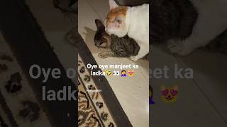 Koi bhi Stage pe nai chadega👀😸#shortsfeed#explore#funny#trendingshorts#viral#comedy#youtubeshorts#ai