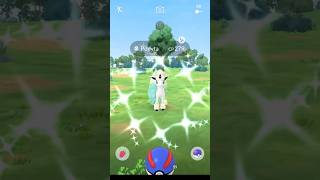 Shiny G-Ponyta!! #pokemongo