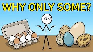 Why Don’t We Eat Other Animal Eggs?