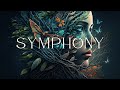 Natures symphony 1 hour of relaxation music with sounds of nature