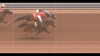 JAMAICA RACING: Bubblingbrownsugar, Oh My Gosh Dead Heat In Sat, April 4, 2026, 2nd