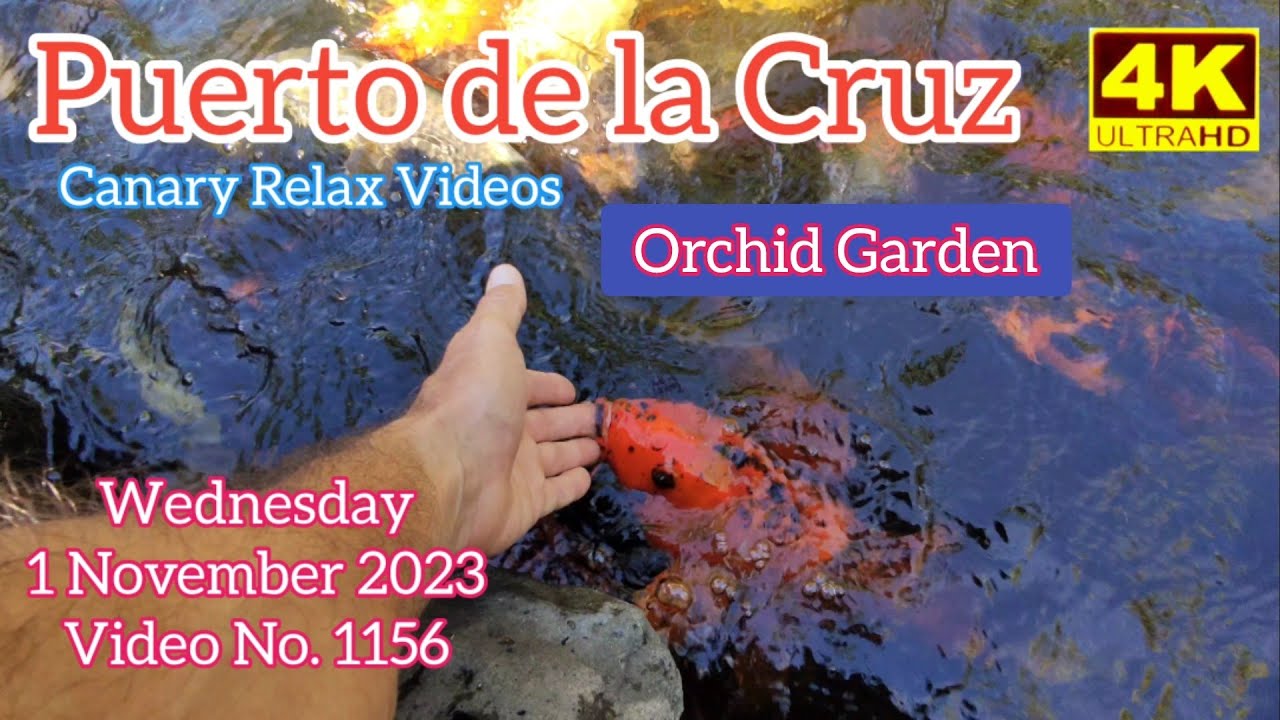 TENERIFE 🏝️ Puerto de la Cruz - Orchid Garden Sitio Litre Teneriffa  1 Nov 2023