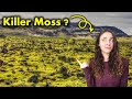 Ordovician Mass Extinction Quiz