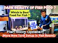 Stop buying fish food  best food for fish  fish room update