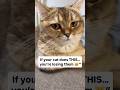 ⚠️ Your cat is pulling away#CatBehavior #CatTips #CatOwners #PetCare#shorts