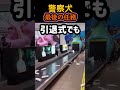 警察犬、最後の任務。