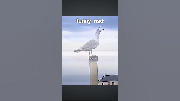 Best funny video 😁 #viralvideo #memes #trolledit #foryou #4u