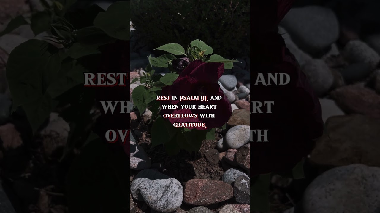 Om Gan Ganpataye Namo Namah Ganesh MantraGanesh Mantra Ganesh Status Song Ytshorts Shorts - Hindi Status Tube