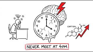Why 4PM Meetings Are Killing Your Body (Science Explains)