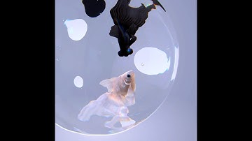 Finally added waves. (Real-time 3DCG simulation)