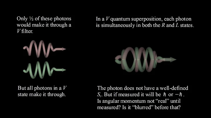 Quantum Mechanics 9b - Photon Spin and Schrödinger's Cat II