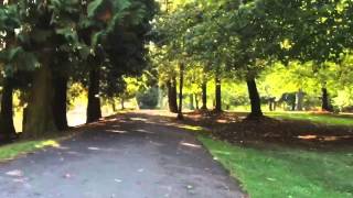 A walk through Laurelhurst Park (Timelapse)