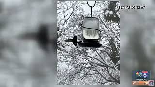 Snaps on Sunrise 1.26.2026
