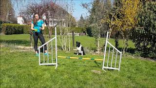 Obstacle focus command