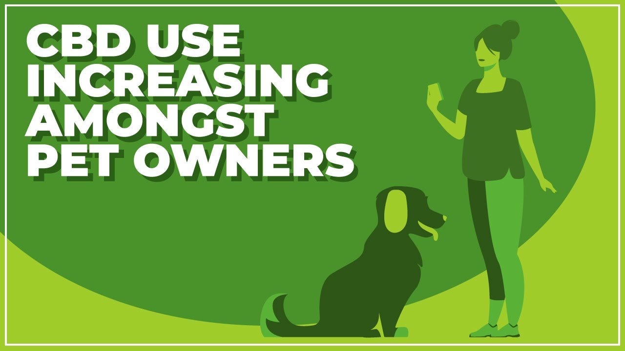 CBD Use Increasing Amongst Pet Owners