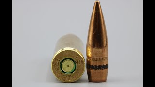 7.62x51mm, 147gr FMJ, SalTech Made in Switzerland, Review