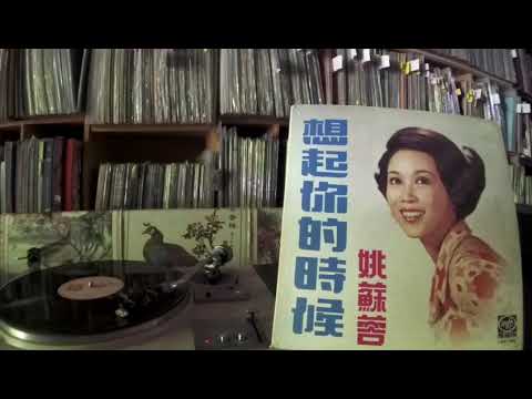 姚蘇蓉 Yao Su Rong -- b2 痴心換假意