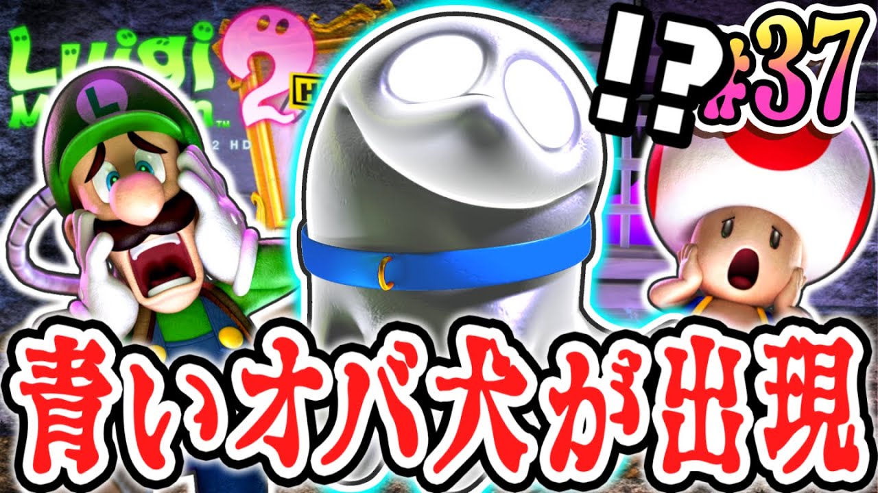テラータワー限定の青いオバ犬を捕まえよう!!ソロでチェイサータワーを攻略せよ!!HDリメイク版で最速実況Part37【ルイージマンション2 HD】