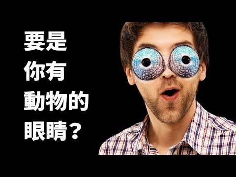 你要是有動物眼睛(你可以看自己耳朵裡面！)