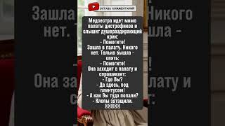 Клопы затащили дистрофика под плинтус! #анекдоты #юмор