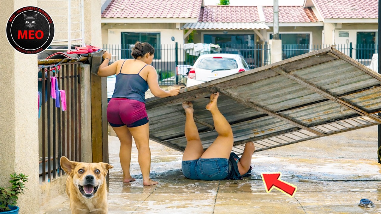 People Failing Hilariously | Moments when Things Went Wrong | BEST OF MONTH