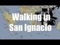 San Ignacio Walk, Belize -  Virtual Trip