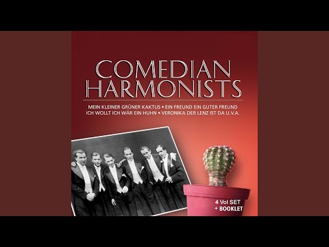 Wenn der Wind weht über das Meer