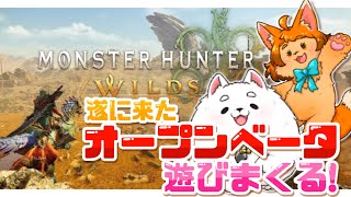 【モンハンワイルズ】一足先に遊びまくっちゃおう!!!✨🎮【オープンベータ】