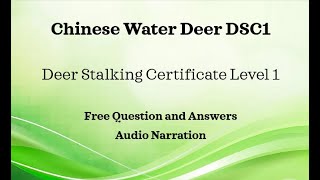 DSC1 Chinese Water Deer Section Q&A Deer Stalking Certificate 1 FREE Resources Main Paper Revision
