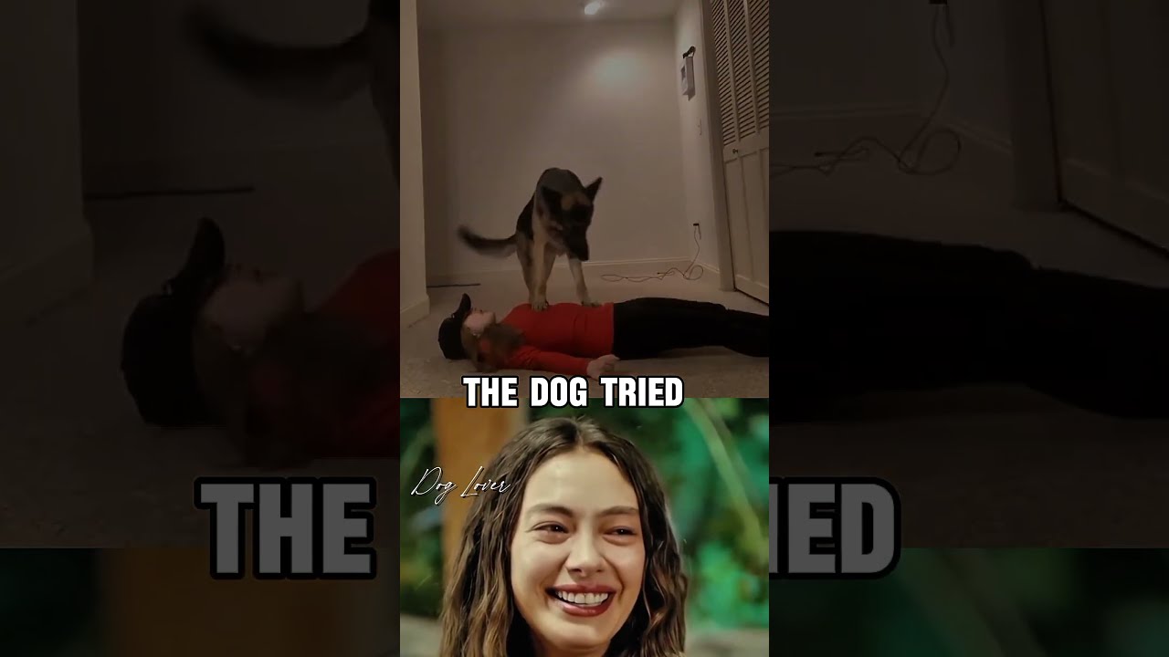 The Dog Tried To Save Her Life 