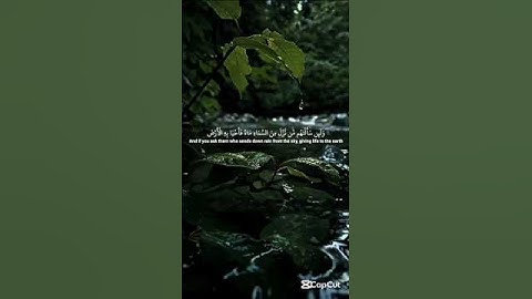 ياسرالدوسرى#سورة #اكسبلور#استخدم الصوت#تلاوت قران# #المصحف  peaceofmind # reels #راحة_نفسية