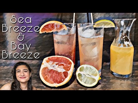 Sea Breeze and Bay Breeze ~ Bartending with Brielle