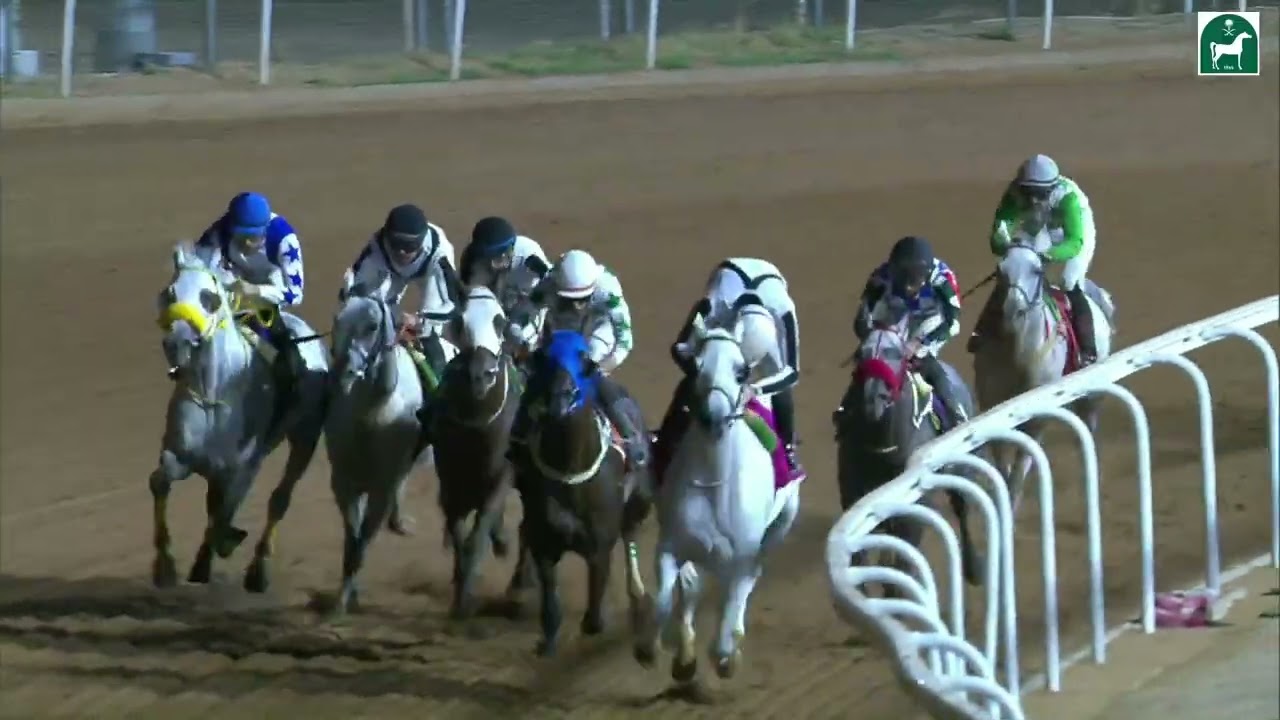 الشوط الثامن للحفل 20 بموسم سباقات الطائف