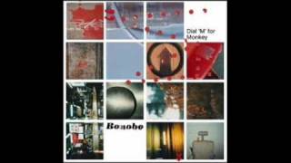 Bonobo - Nocturnary