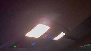 IMG 2559