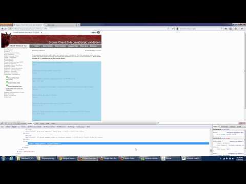 WebGoat - Bypass Client Side JavaScript Validation