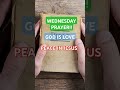 PRAYER FOR PEACE!!(WEDNESDAY)...GODS WILL.  #prayer