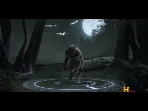 Monsterquest Monsterquest