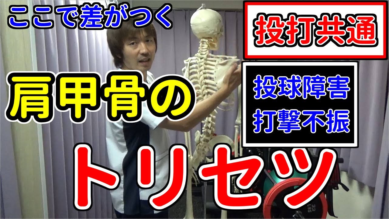 たった数センチで天地の差！即活用できる投打で必要な肩甲骨の使い方をわかりやすく解説！