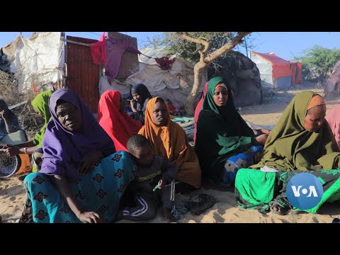 Somalia’s Capital Sees Influx of People Fleeing Drought.