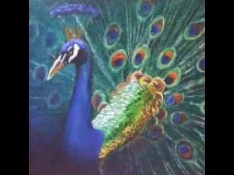 [TJ노래방라운지] 사랑참 - 장윤정
