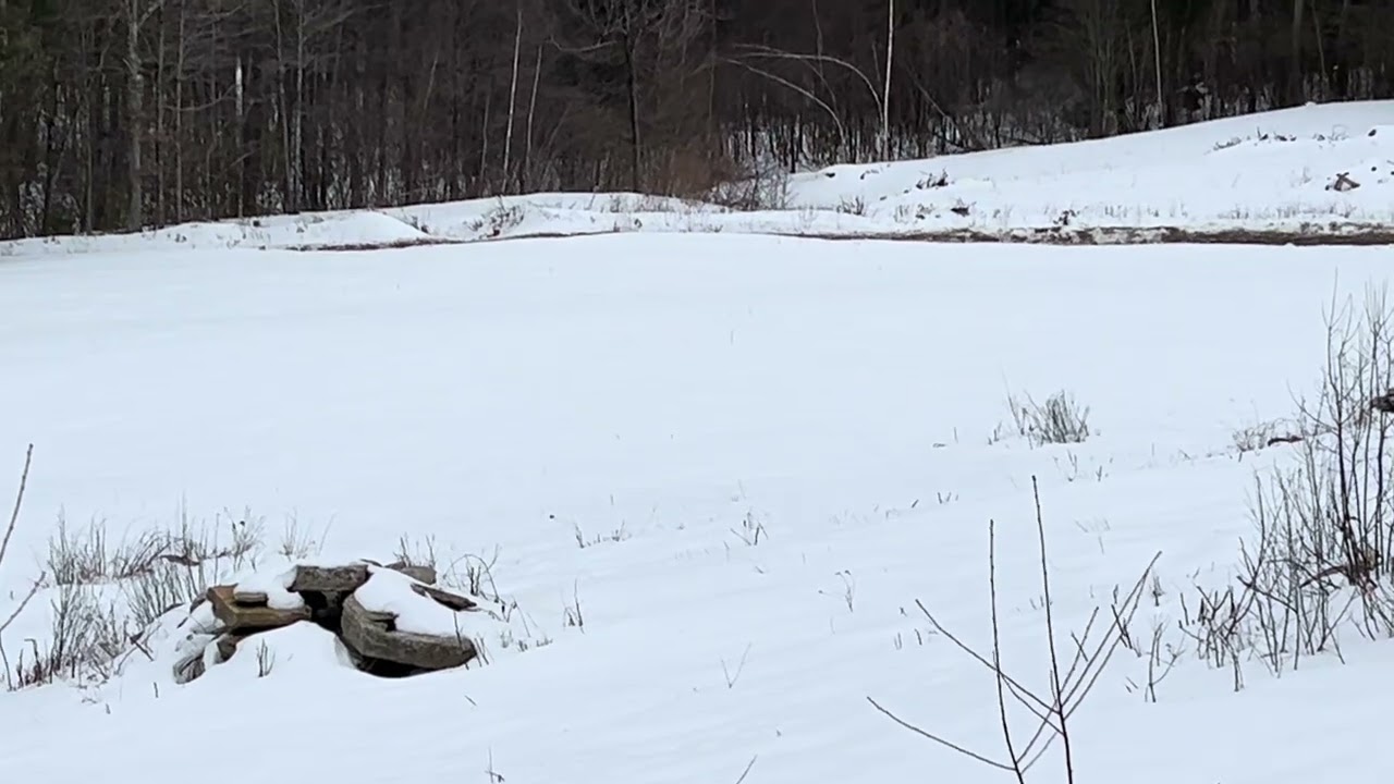 2026-03-01:  A Winter Quabbin Reservoir from Pelham, MA