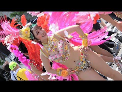 ピンクと黄の花の衣装 サンバ 神戸 おまけ Dance Motion Beautiful Costume Of Samba Extra Shorts 