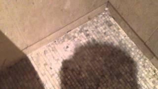 Vomit In Disabled Loo & Mens Toilet