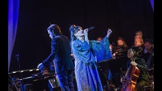 Kate Bush |  And Dream Of Sheep (Symphonic tribute)