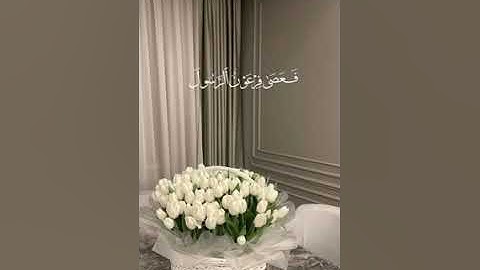 #ماتيسر_من سورة المزمل بصوت القارئ للشيخ ياسر الدوسري قناة القرآن الكريم الرسمية