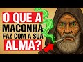 O Que A Cannabis Faz Com Sua Alma Esconderam Isso Por 5000 Anos O Que A Cannabis Faz Com Sua Alma Esconderam Isso Por 5000 Anos